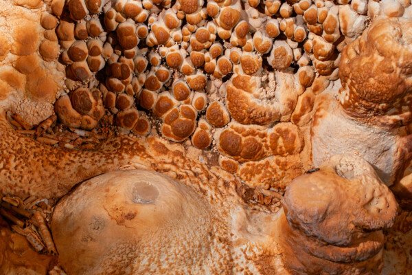 Paroi avec choux-fleurs recouverts d'argile (Grotte de la Barbette, Réseau Estevan, Gard)