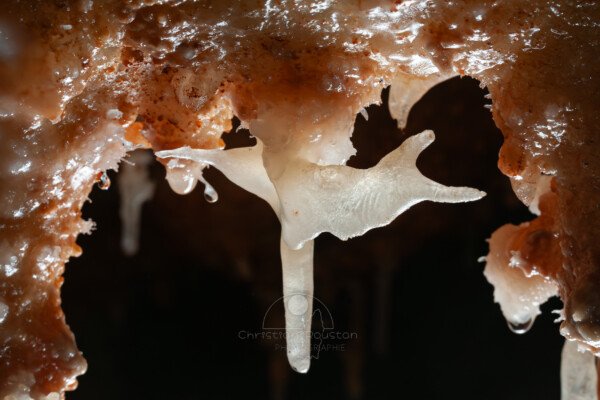 Excentrique blanche entourée d'ocre (Grotte de la Barbette, Réseau Estevan, Gard)