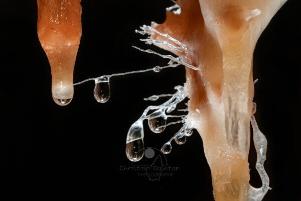 Petit groupe d'aiguillettes avec des gouttes d'eau (Grotte de la Barbette, Réseau Estevan, Gard)