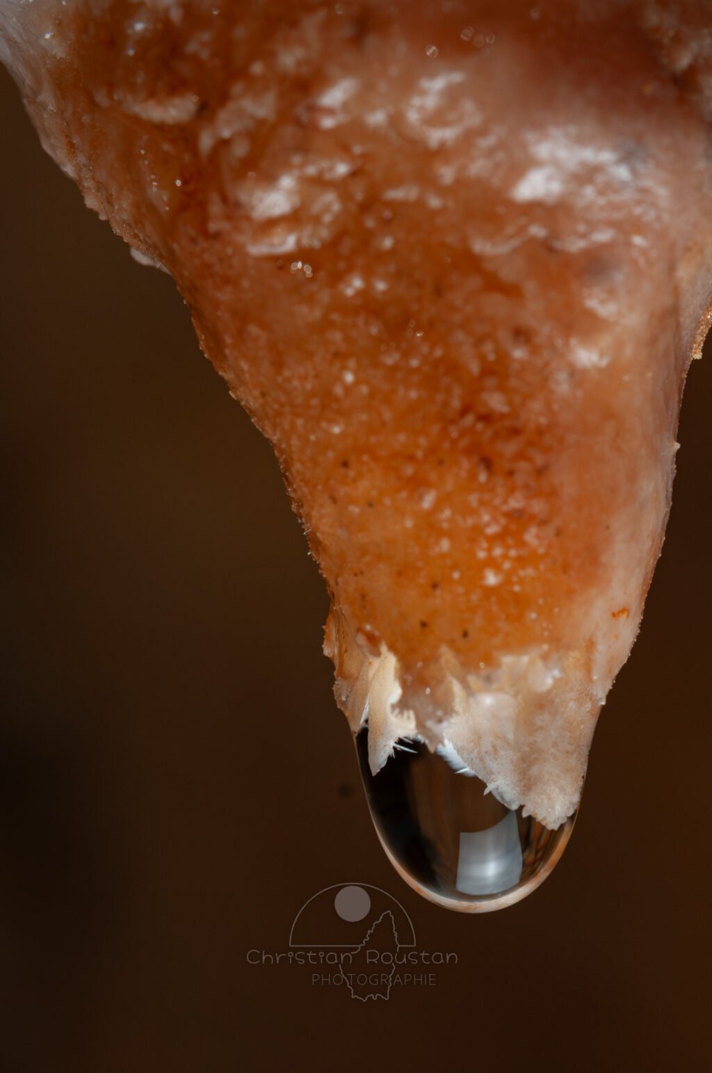 Une goutte avec des cristaux à l'intérieur (Grotte de la Barbette, Réseau Estevan, Gard)