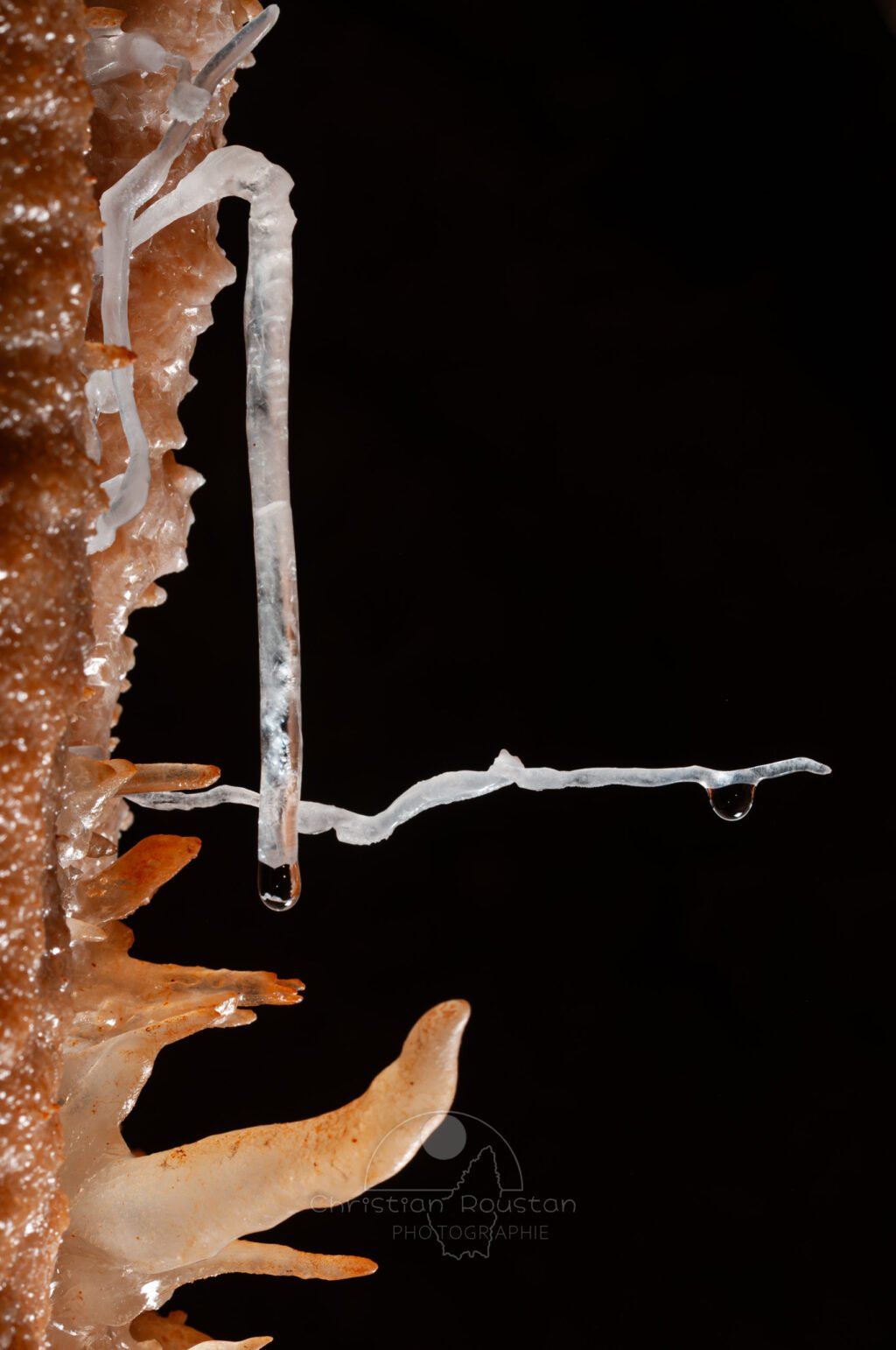 Une fistuleuse verticale forme un angle droit avec une fine excentrique parfaitement horizontale (Grotte de la Barbette, Réseau Estevan, Gard)