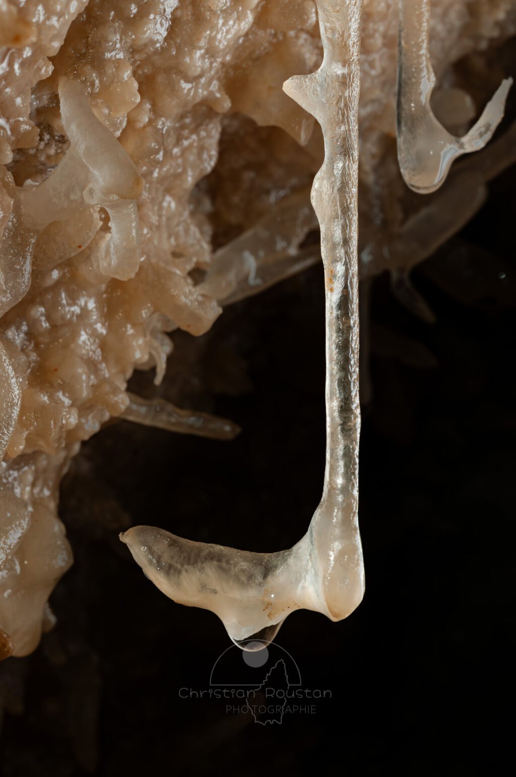 Fistuleuse se terminant par une excentrique à 90°, avec goutte d'eau (Grotte de la Barbette, Réseau Estevan, Gard)