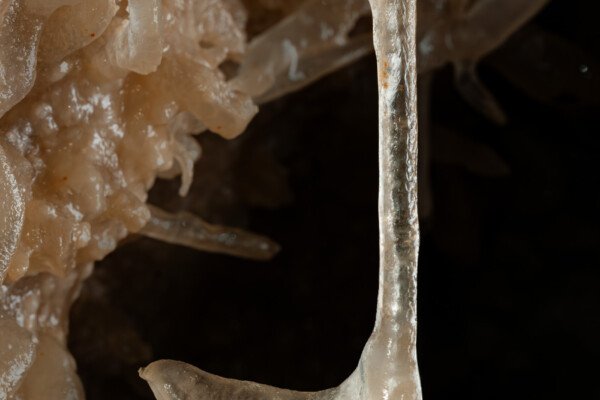 Fistuleuse se terminant par une excentrique à 90°, avec goutte d'eau (Grotte de la Barbette, Réseau Estevan, Gard)