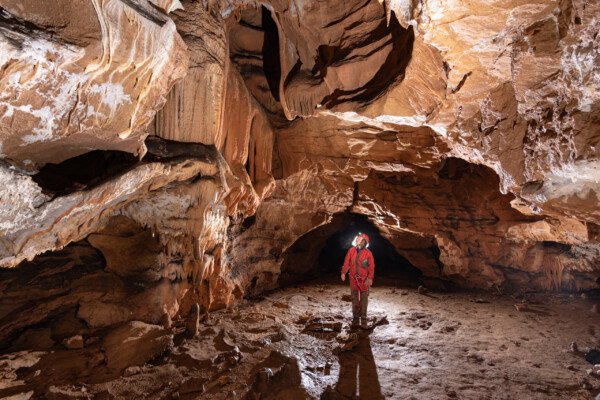 Terminus de la galerie du mycélium (Grotte de la Pascaloune, Ardèche)