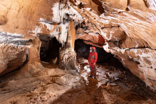 Massif de concrétion dans la galerie du mycélium (Grotte de la Pascaloune, Ardèche)