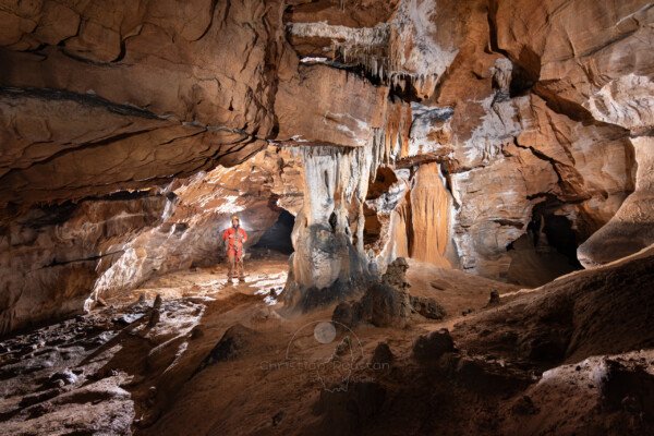 Massif de concrétions dans la galerie du mycélium (Grotte de la Pascaloune, Ardèche)