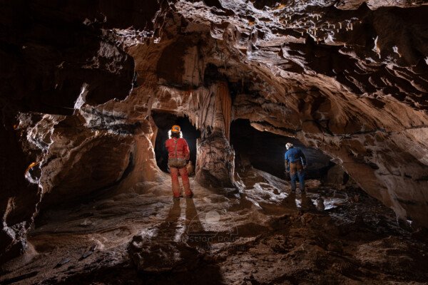 Massif de concrétions dans la galerie du mycélium (Grotte de la Pascaloune, Ardèche)