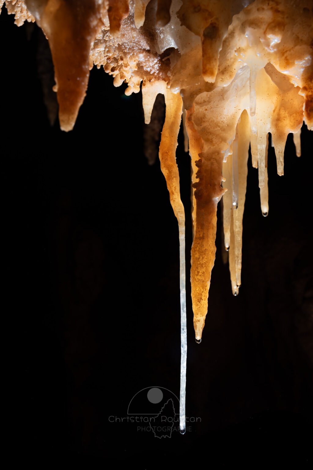Petit ensemble de stalactites avec une fine fistuleuse (Spéléothème, Grotte du Philosophe, Gard)