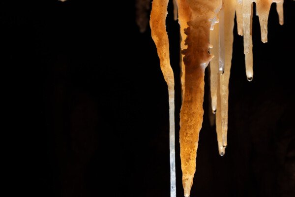 Petit ensemble de stalactites avec une fine fistuleuse (Spéléothème, Grotte du Philosophe, Gard)