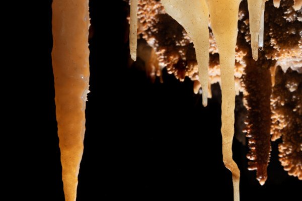 Contraste de taille entre deux stalactites (Spéléothème, Grotte du Philosophe, Gard)
