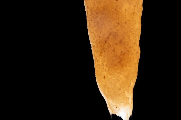 Une goutte d'eau à l’extrémité d'une stalactite (Spéléothème, Grotte du Philosophe, Gard)