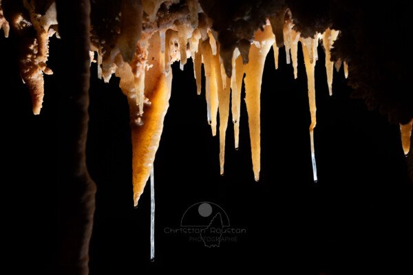 Un rideau de concrétions composé de fistuleuses, draperies et fines stalactites (Spéléothème, Grotte du Philosophe, Gard)