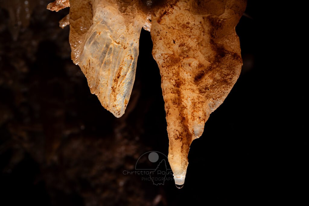 La transparence révèle la structure cristalline (Spéléothème, Grotte du Philosophe, Gard)
