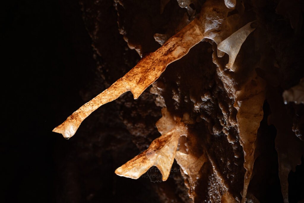 Plusieurs excentriques qui se développent avec un angle de 45° (Spéléothème, Grotte du Philosophe, Gard)