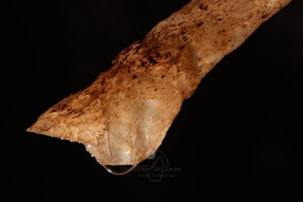Gros plan sur l'extrémité d'un petit sabre (Spéléothème, Grotte du Philosophe, Gard)