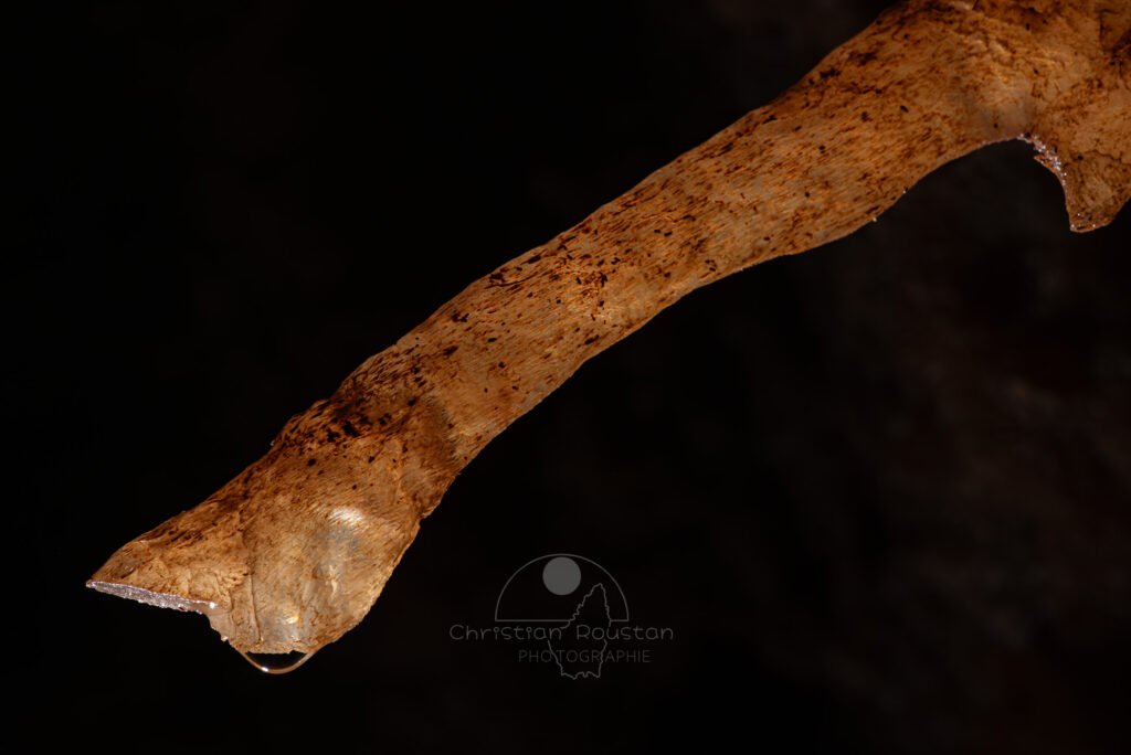 Excentrique géante en forme de mini sabre (Spéléothème, Grotte du Philosophe, Gard)