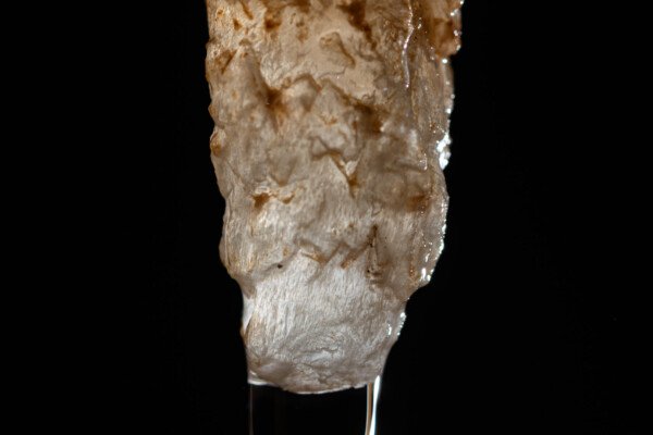 Stalactite à la texture étonante (Spéléothème, Grotte du Philosophe, Gard)