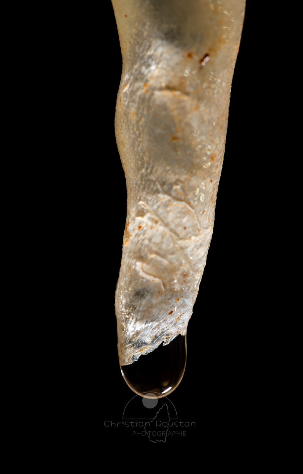 Détail sur une fistuleuse (Spéléothème, Grotte du Philosophe, Gard)