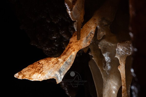 Grosse excentrique qui pousse à 45° (Spéléothème, Grotte du Philosophe, Gard)