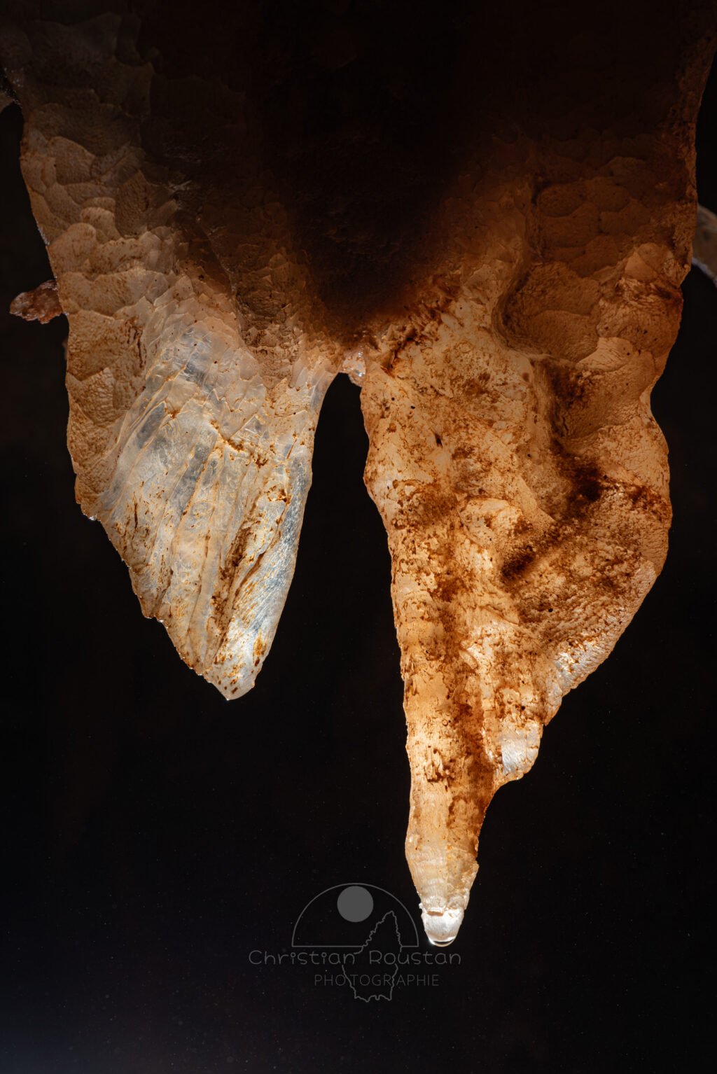 Deux ailes de pierre forment un binôme (Spéléothème, Grotte du Philosophe, Gard)