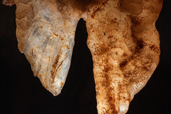 Deux ailes de pierre forment un binôme (Spéléothème, Grotte du Philosophe, Gard)