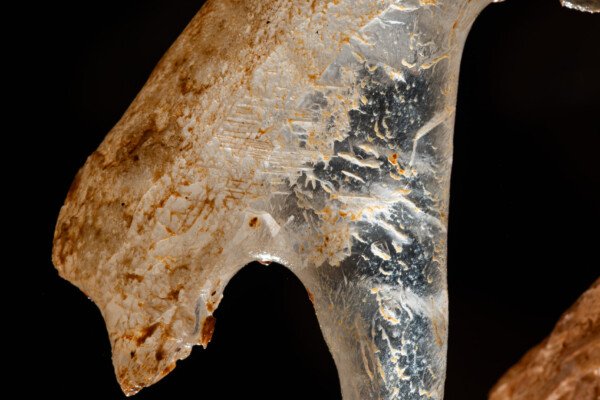 Départ de fistuleuse sur une excentrique (Spéléothème, Grotte du Philosophe, Gard)