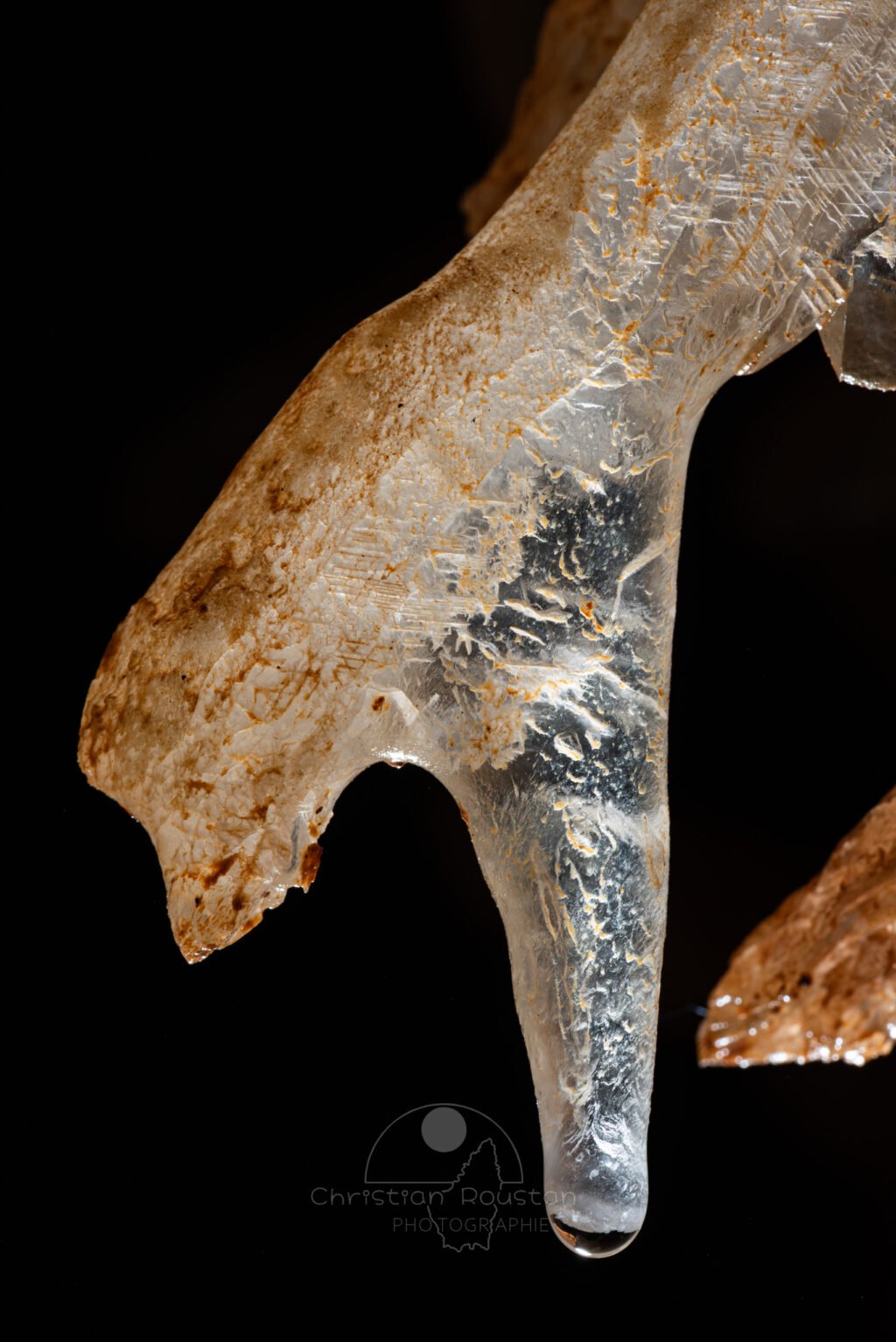 Départ de fistuleuse sur une excentrique (Spéléothème, Grotte du Philosophe, Gard)