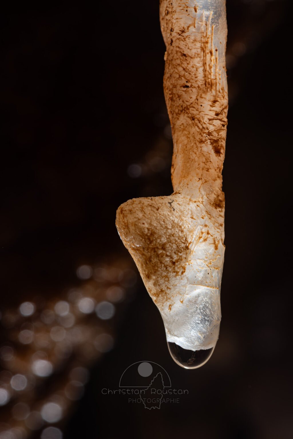Fistuleuse avec excroissance toute en rondeur (Spéléothème, Grotte du Philosophe, Gard)