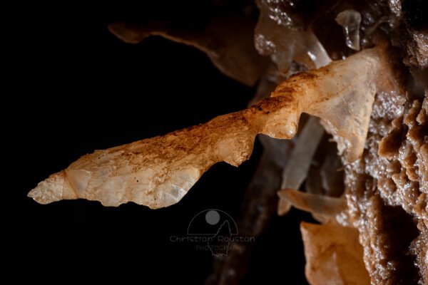 Mini sabre à la structure cristalline (Spéléothème, Grotte du Philosophe, Gard)