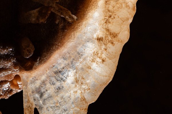 Avec une seule aile le papillon ne s’envolera pas (Spéléothème, Grotte du Philosophe, Gard)