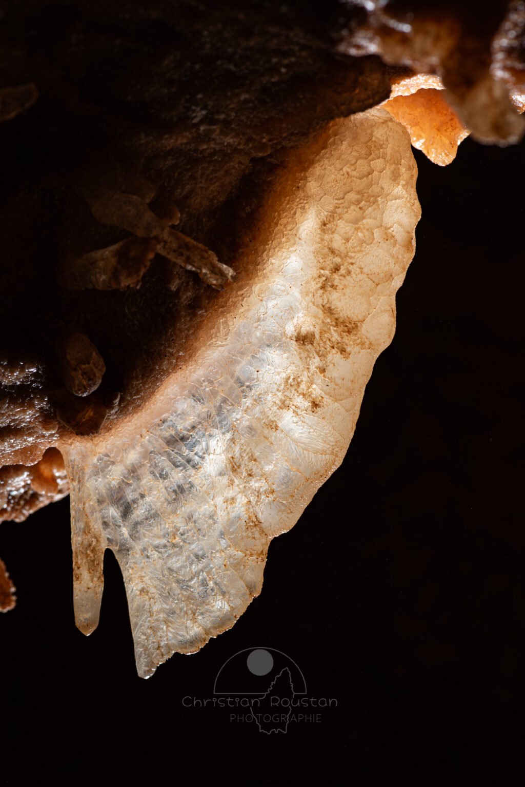 Avec une seule aile le papillon ne s’envolera pas (Spéléothème, Grotte du Philosophe, Gard)