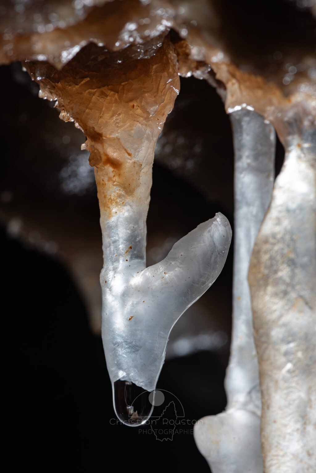 Harpon émoussé (Spéléothème, Grotte du Philosophe, Gard)