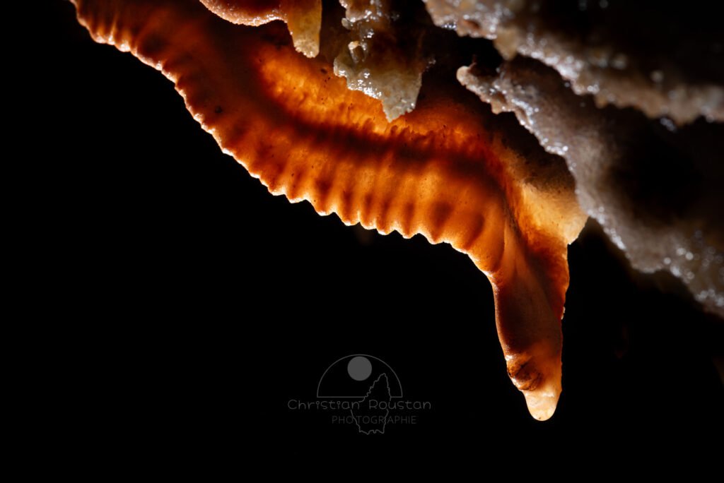 Petite draperie festonnée (Spéléothème, Grotte du Philosophe, Gard)