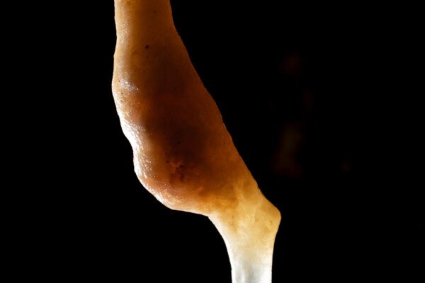 Stalactite à la recherche de la verticalité (Spéléothème, Grotte du Philosophe, Gard)