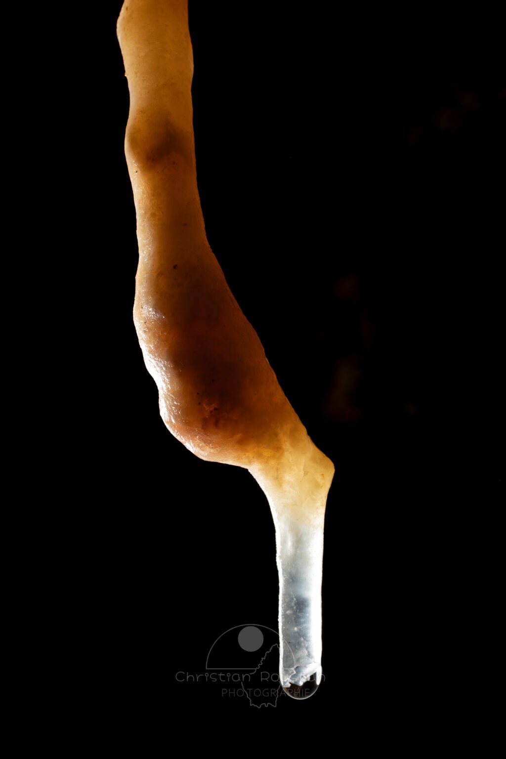 Stalactite à la recherche de la verticalité (Spéléothème, Grotte du Philosophe, Gard)