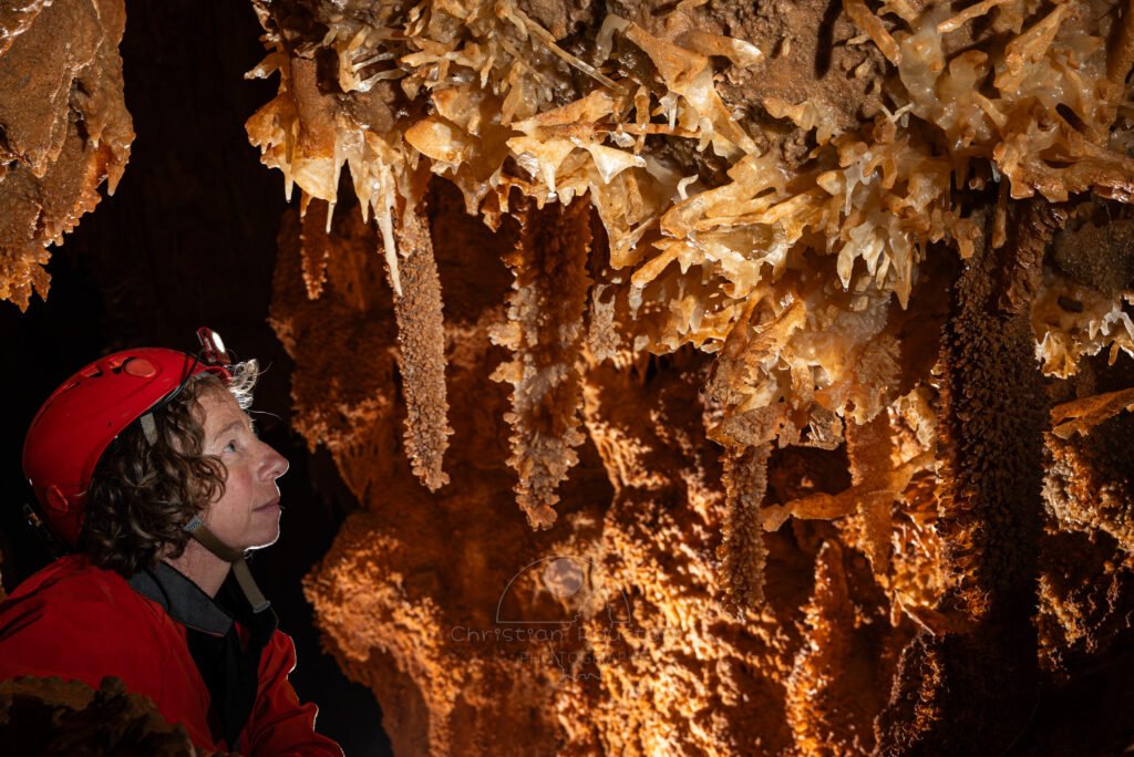 La paroi est recouverte d'excentriques (Spéléothème, Grotte du Philosophe, Gard)