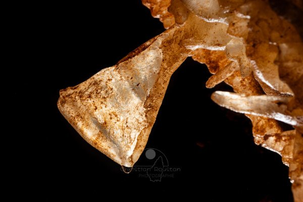 Excentrique translucide en forme de drapeau (Spéléothème, Grotte du Philosophe, Gard)