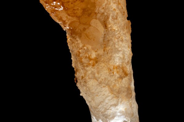 Gros plan sur extrémité d'une stalactite (Spéléothème, Grotte du Philosophe, Gard)