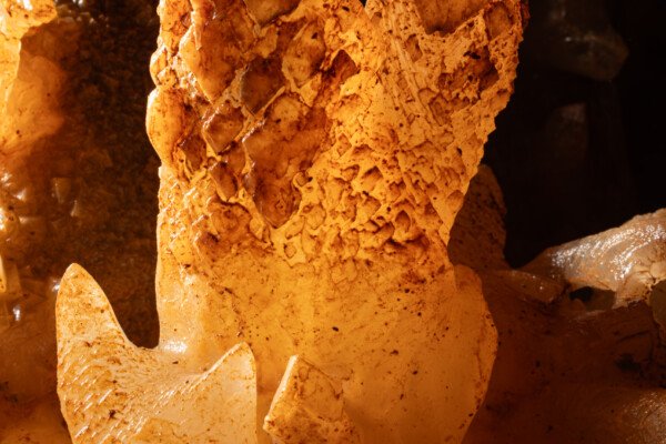 Excentrique avec une structure étonnante (Spéléothème, Grotte du Philosophe, Gard)