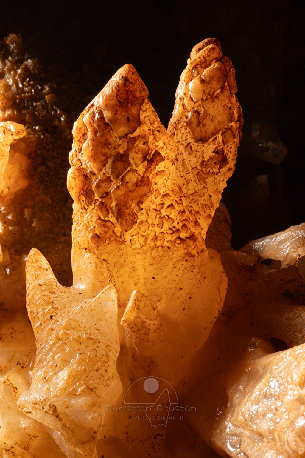 Excentrique avec une structure étonnante (Spéléothème, Grotte du Philosophe, Gard)