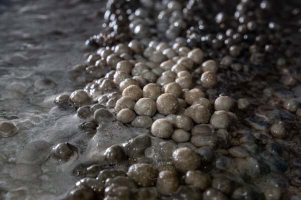 Le sol est couvert de perles (Réseau des perles, Sud France, Pisolithes)