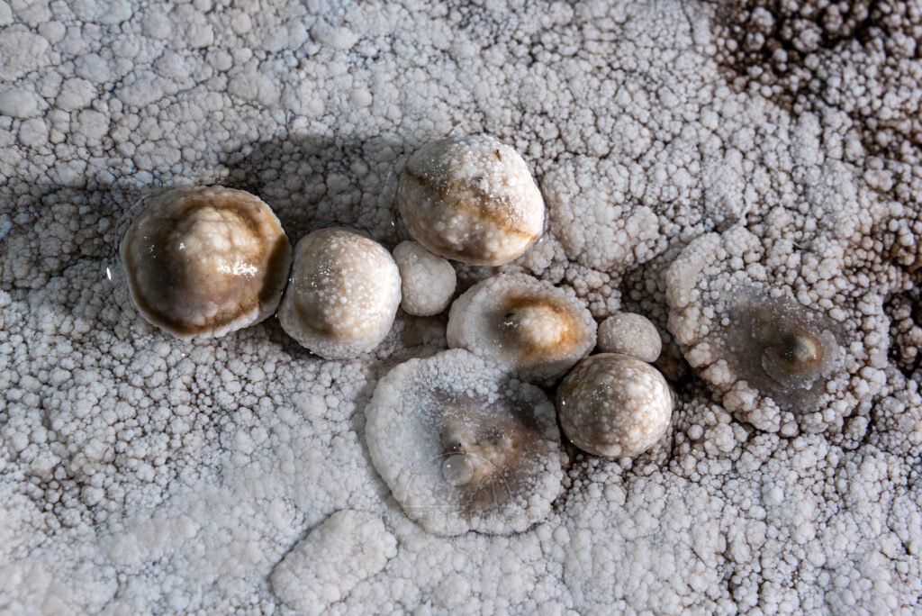 Gour avec perles (Réseau des perles, Sud France, Pisolithes)
