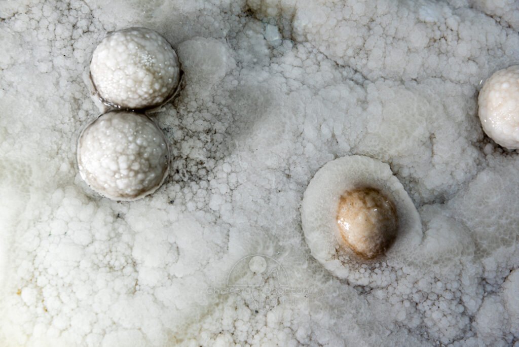 Perles avec ou sans collerette (Réseau des perles, Sud France, Pisolithes)