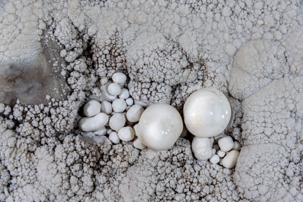 Nid de perles dans gour calcifié (Réseau des perles, Sud France, Pisolithes)