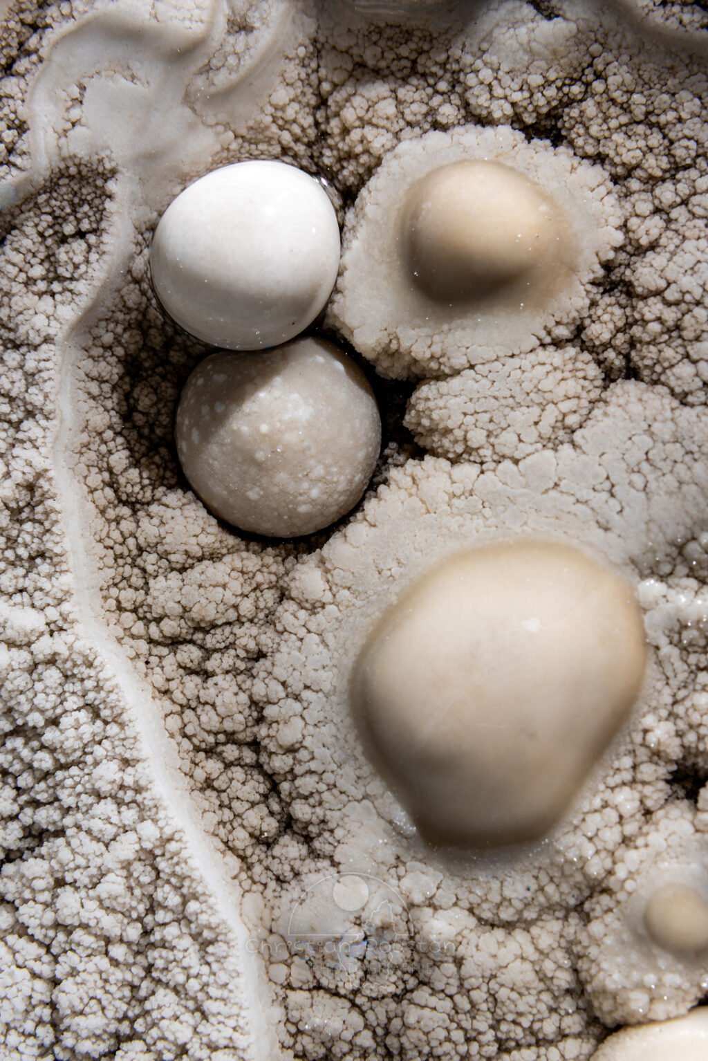 Des oeuf à la poêle (Réseau des perles, Sud France, Pisolithes)