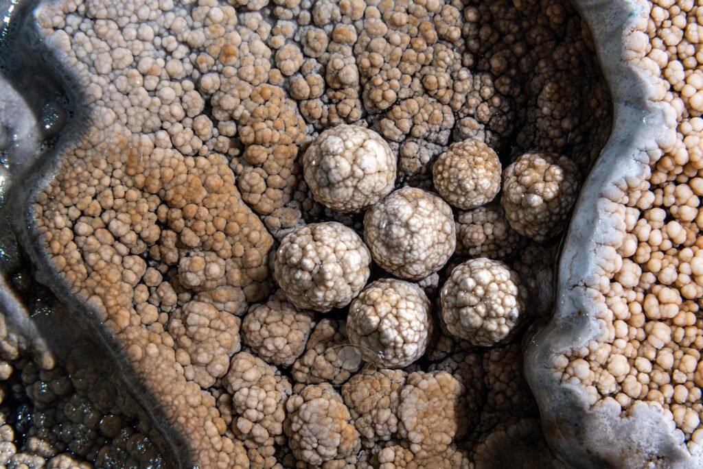 Gour avec perles (Réseau des perles, Sud France, Pisolithes)