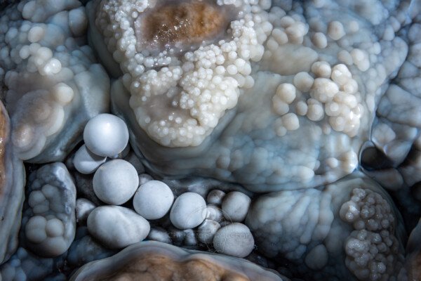 Quelques perles avec des choux fleurs (Réseau des perles, Sud France, Pisolithes)