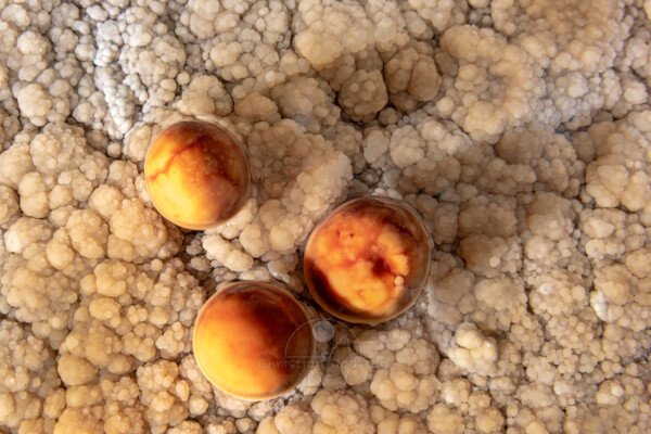 Petit groupe de perles rouges orangées (Réseau des perles, Sud France, Pisolithes)