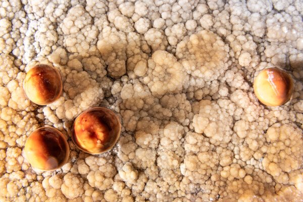 Petit groupe de perles rouges orangées (Réseau des perles, Sud France, Pisolithes)