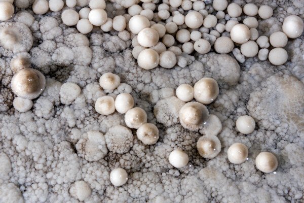 Nid de perles (Réseau des perles, Sud France, Pisolithes)